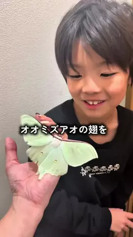 ゆづっこ🍄のTikTok投稿