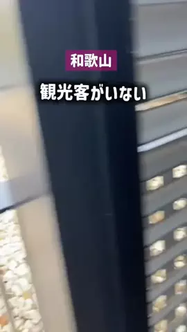 ぼぶ｜関西おでかけ＆ホテル案内係のTikTok投稿