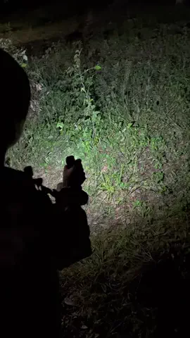 ゆづっこ🍄のTikTok投稿