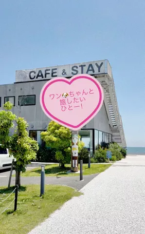 ★さったん★のTikTok投稿