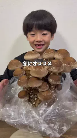 ゆづっこ🍄のTikTok投稿