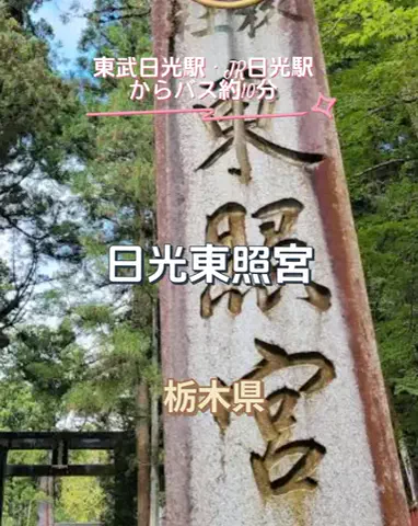 🌿𝙉𝙖𝙢𝙞🍜❤【自粛中】のTikTok投稿