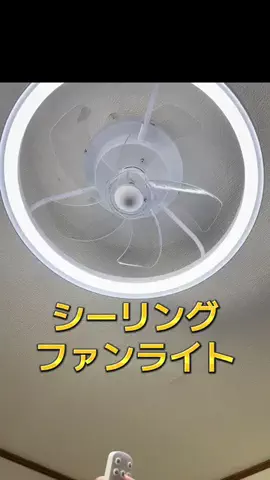 🍋remon🍋🏍️coelacanthのTikTok投稿