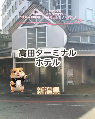 🌿𝙉𝙖𝙢𝙞🍜❤【自粛中】のTikTok投稿