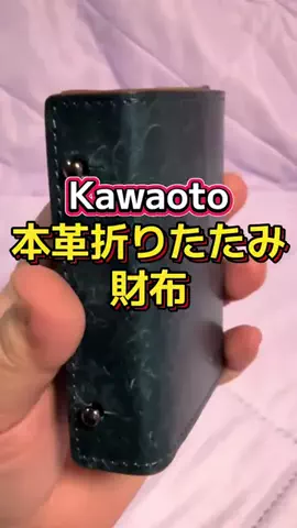 🍋remon🍋🏍️coelacanthのTikTok投稿