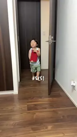 りき太郎のTikTok投稿