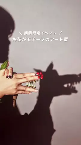 あず🧸食𓌉𓇋旅✈︎きろく𓂃 𓈒✍︎のTikTok投稿