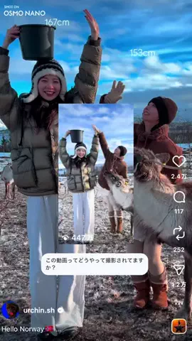 Urchin 志のTikTok投稿
