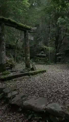 ＪＪのおでかけのTikTok投稿