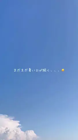 sakura🌸のTikTok投稿