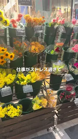 サラ艶ﾁｬﾝのTikTok投稿
