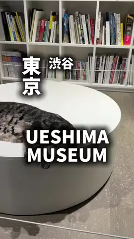 限界OL旅logのTikTok PR投稿：限界OLの美術館紹介！現代アートを見たあとに、自分で抹…