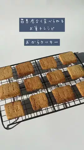 ねこより。のTikTok投稿