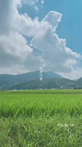 RyのTikTok投稿