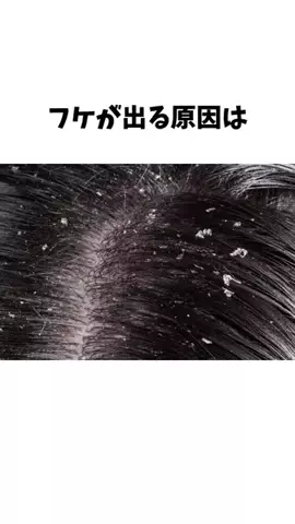サラ艶ﾁｬﾝのTikTok投稿