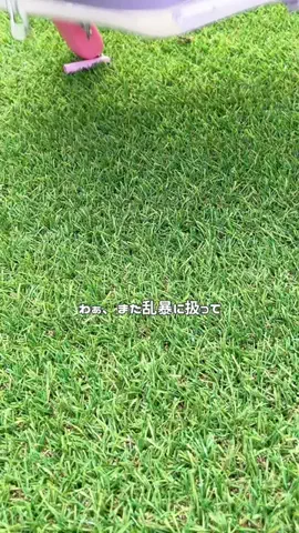 ハピネス👀なんでも目玉つけがちな人のTikTok投稿