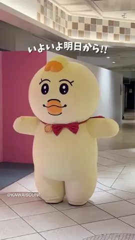 rili.tokyoのTikTok投稿