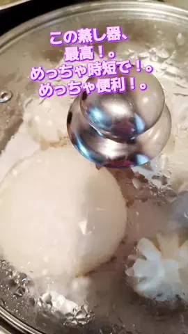 にゃんコロンちゃん♪のTikTok投稿