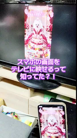 にゃんコロンちゃん♪のTikTok投稿