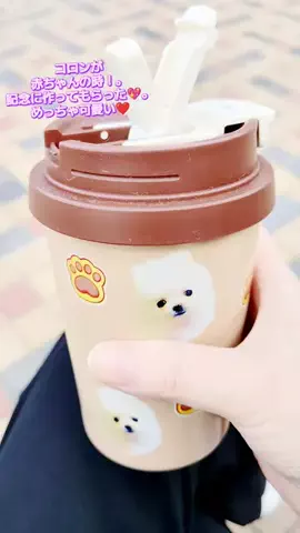 にゃんコロンちゃん♪のTikTok投稿