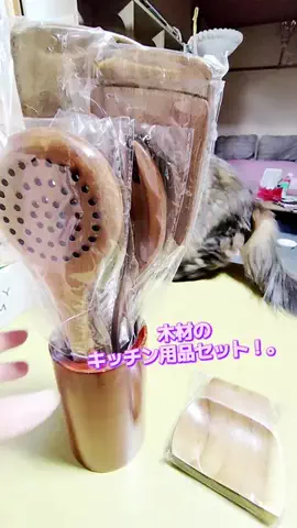 にゃんコロンちゃん♪のTikTok投稿