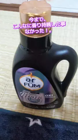 にゃんコロンちゃん♪のTikTok投稿
