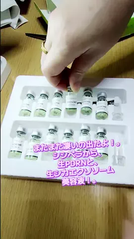 にゃんコロンちゃん♪のTikTok投稿