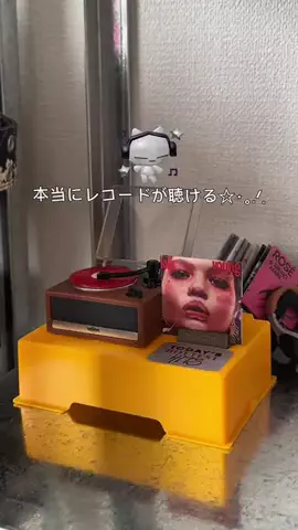 セナのTikTok投稿