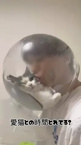毎日ウニ食べたいのTikTok投稿