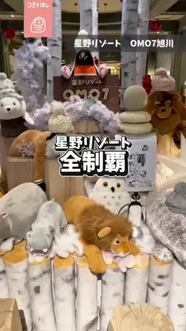 つきとほし🦉星野リゾート全制覇した夫婦のTikTok投稿