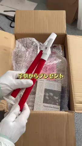 inaka_hahaのTikTok投稿