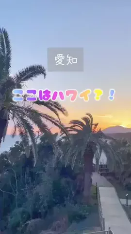 yucoco23のTikTok投稿