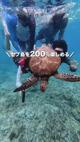 やまたび🦎【今週のデートはここで決まり】のTikTok投稿
