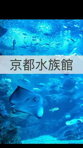 まりのTikTok投稿