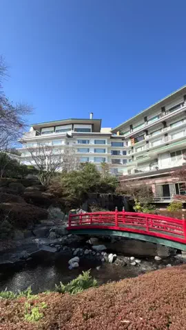 旅する社畜ちゃん🐈‍⬛✈️のTikTok投稿