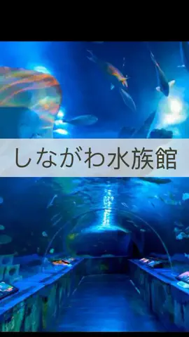 まりのTikTok投稿