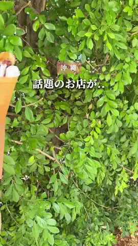 ちいのTikTok投稿