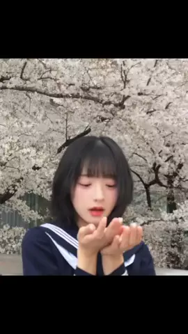 彗星ちゃんのTikTok投稿
