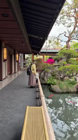 アミノ家のTikTok投稿