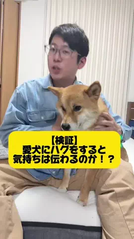 チワワの、のぶなが【飼い主と犬がおもしろすぎる】のTikTok投稿