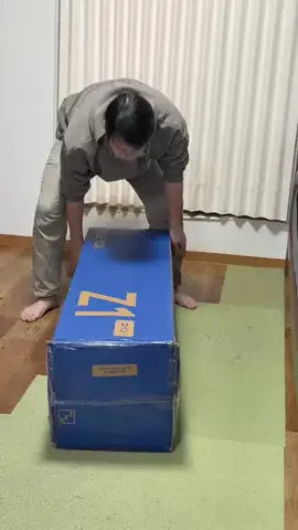 チワワの、のぶなが【飼い主と犬がおもしろすぎる】のTikTok投稿