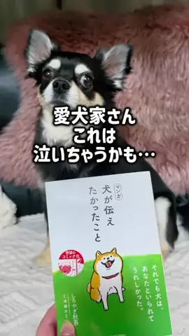 レオンママ🌻🐯｜バズ商品紹介のTikTok投稿