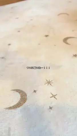 ハルとアキ🐱のTikTok投稿