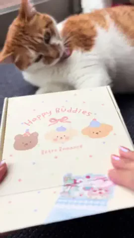 ハルとアキ🐱のTikTok投稿
