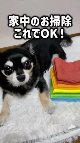 レオンママ🌻🐯｜バズ商品紹介のTikTok投稿