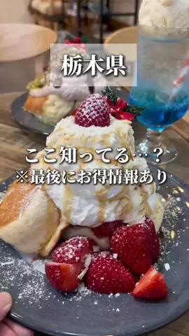 いちぶら┊ 栃木の魅力発信のTikTok投稿