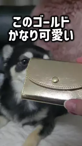 レオンママ🌻🐯｜バズ商品紹介のTikTok投稿