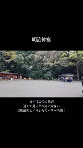 DufferのTikTok投稿