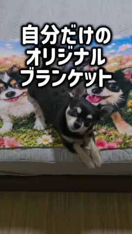 レオンママ🌻🐯｜バズ商品紹介のTikTok投稿