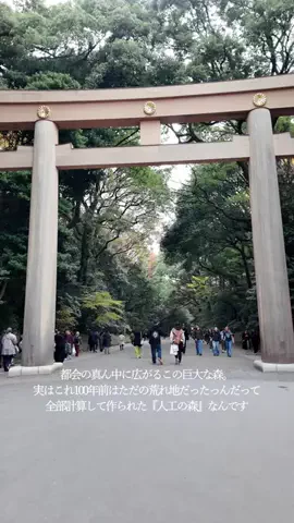 DufferのTikTok投稿
